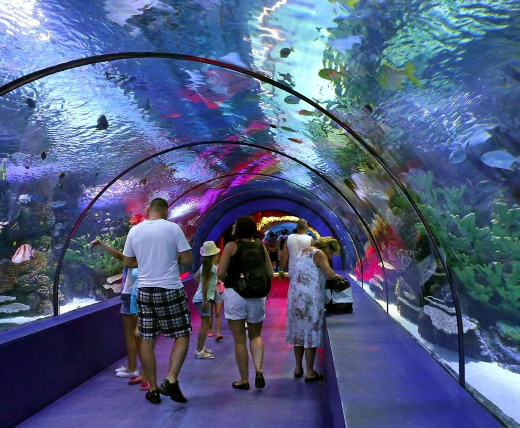 Acvariul din Antalya și turul orașului, cu plecare din Alanya